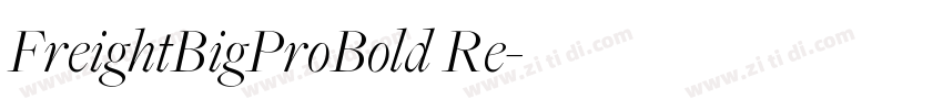 FreightBigProBold Re字体转换